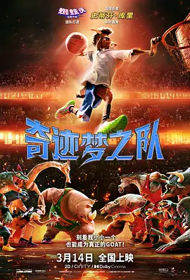 黄色的:视频